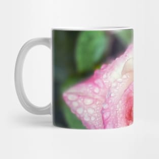 Pink Rose in Spring Rain Mug